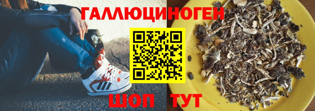 Малоярославец  цены наркотик  Вход с VPN  Галлюциногенные грибы MAGIC MUSHROOMS 