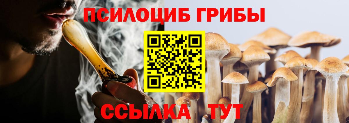 Псилоцибиновые грибы Magic Shrooms Малоярославец